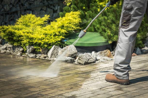 Best Patio and Deck Pressure Washing  in Delano, MN