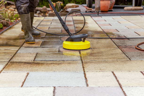 Best Spring Cleaning  in Delano, MN