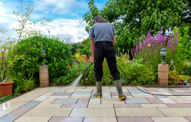 Best Winterizing Services  in Delano, MN